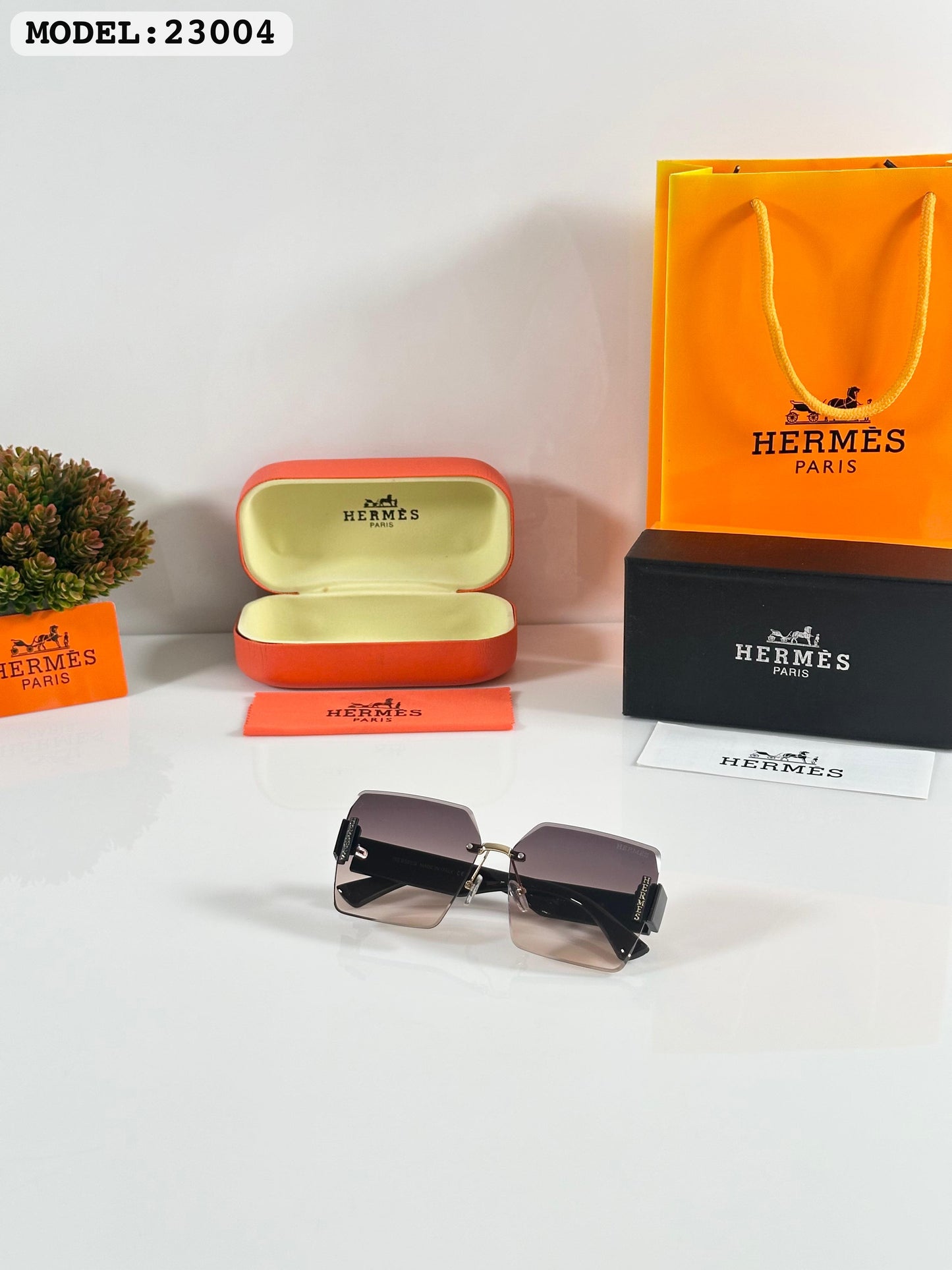 Hermes Sunglass